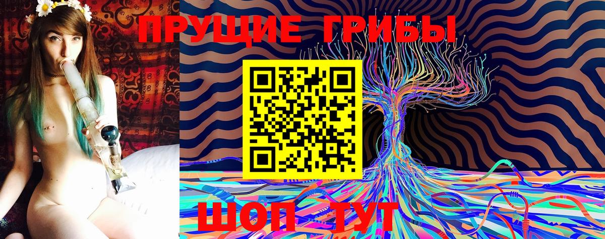 Псилоцибиновые грибы Magic Shrooms  Вход с VPN  Шебекино  Псилоцибиновые грибы MAGIC MUSHROOMS 